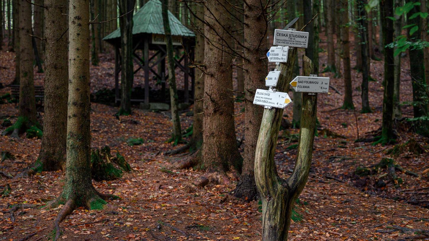 Ein Hinweisschild im Wald mit der Quelle ·eská Studánka im Hintergrund. In der Nähe wurde die vermisste Julia wieder gefunden. Das achtjährige Mädchen aus Berlin wurde am Dienstag im Grenzgebiet an der deutsch-tschechischen Grenze gefunden, nachdem sie seit Sonntag vermisst war. Ein Hinweisschild im Wald mit der Quelle ·eská Studánka im Hintergrund. In der Nähe wurde die vermisste Julia wieder gefunden. Das achtjährige Mädchen aus Berlin wurde am Dienstag im Grenzgebiet an der deutsch-tschechischen Grenze gefunden, nachdem sie seit Sonntag vermisst war.
