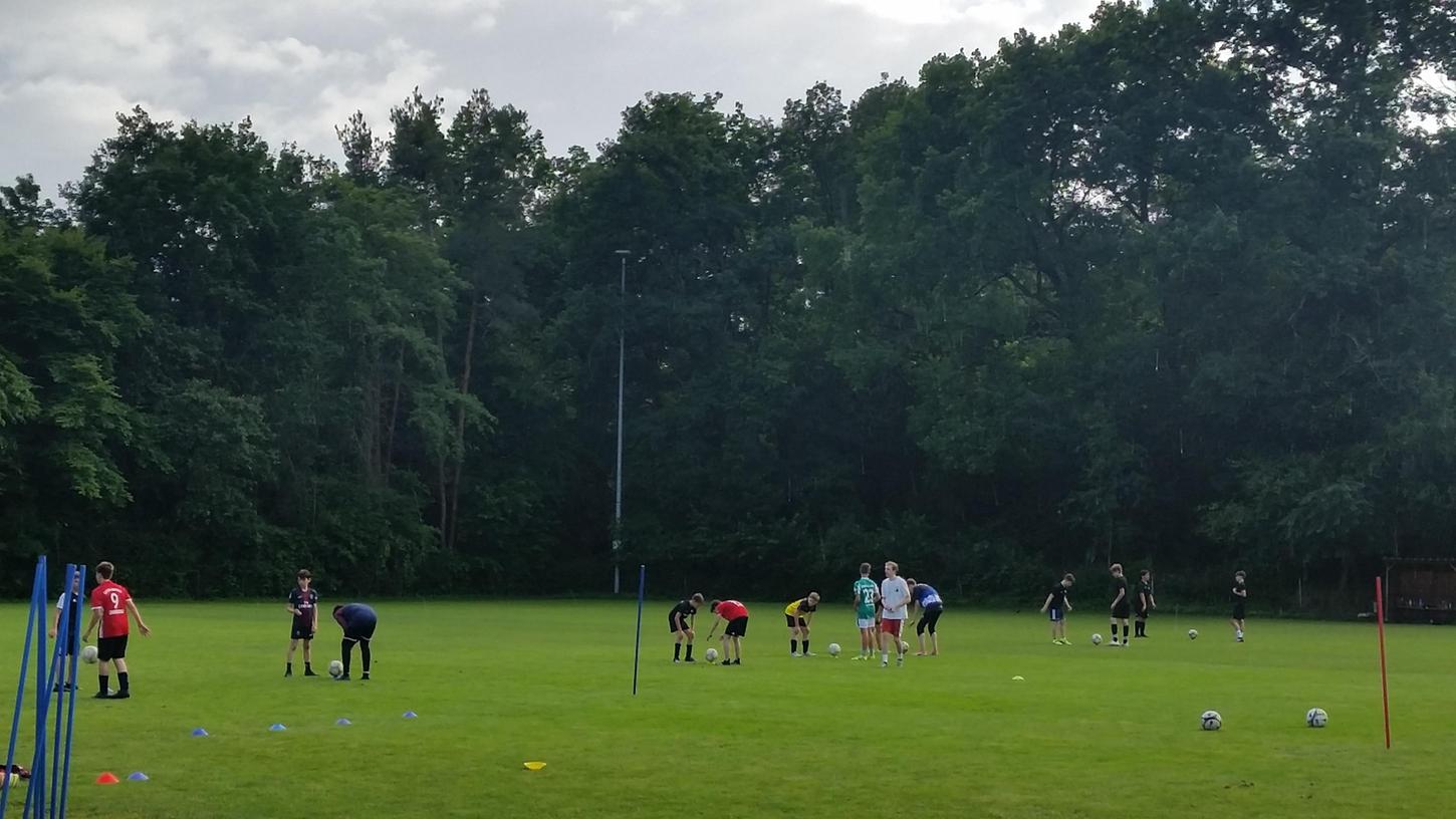 Das Wäldchen mit etlichen großen Eichen im Bildhintergrund muss nun doch nicht weichen, wenn auf dem Schulsportplatz die neue Grundschule errichtet wird: Der Gemeinderat beschloss überraschend eine neue Lösung. Das Wäldchen mit etlichen großen Eichen im Bildhintergrund muss nun doch nicht weichen, wenn auf dem Schulsportplatz die neue Grundschule errichtet wird: Der Gemeinderat beschloss überraschend eine neue Lösung.