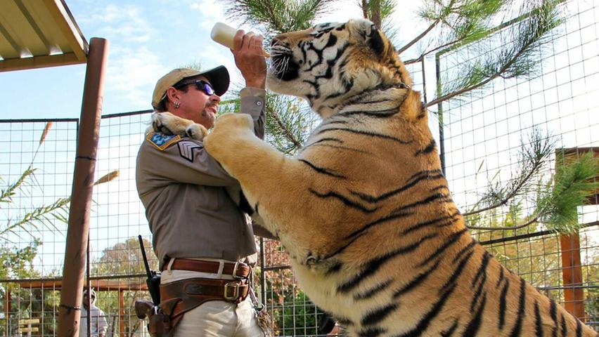 Diese Dokumentarserie begleitet den selbst ernannten "Tiger King" Joe Exotic, der im Jahr 1999 einen Privatzoo für Großkatzen gründete. Der Zoobesitzer verwickelt sich immer weiter in skurrile Machenschaften, Tierquälerei und Morddrohungen.