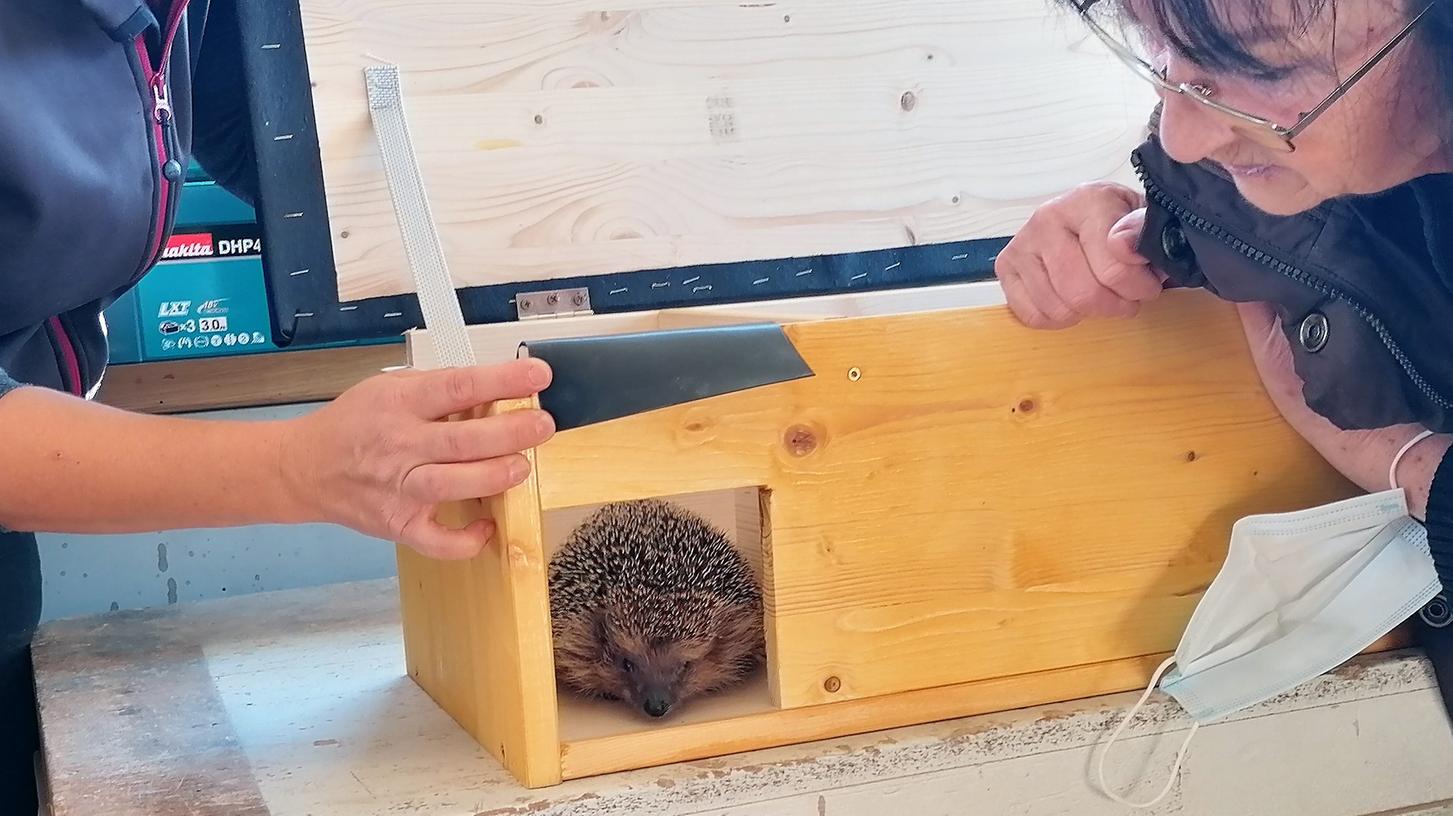 Die drei Teilnehmerinnen des BN-Workshops haben Igel-Schlafhäuser für den Winter gebaut.