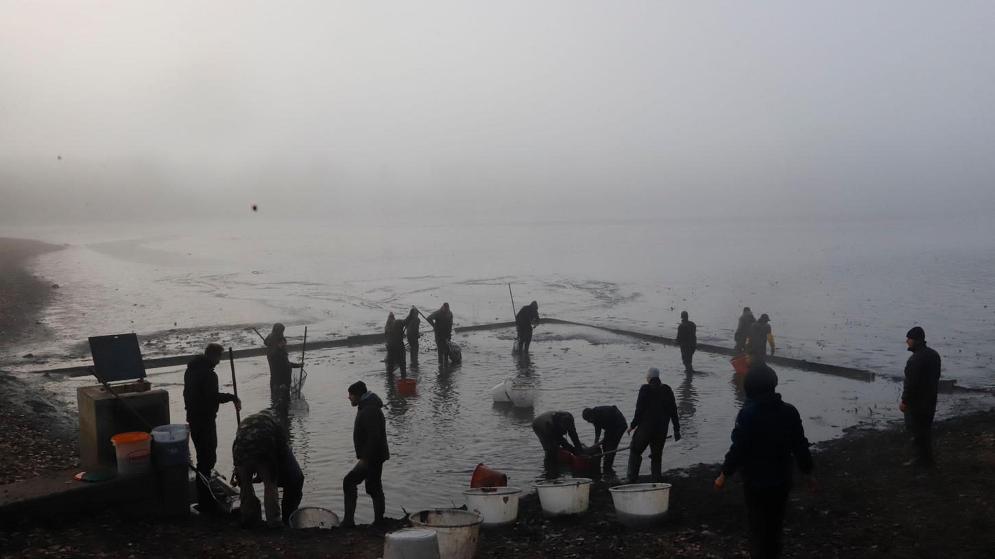 Fischer aus verschiedenen Vereinen beteiligten sich am Abfischen.