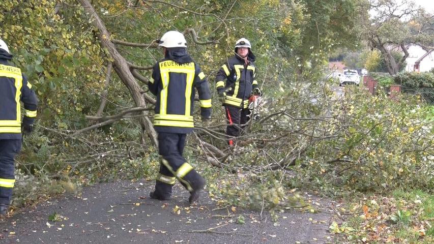  Feuerwehrleute zersägen in Tecklenburg in Nordrhein-Westfalen mit Kettensägen einen Baum, der durch starken Wind auf eine Straße gestürzt war. 