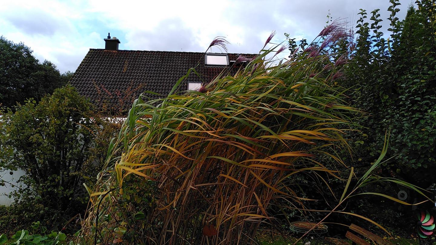 Am Vormittag rauschte einem der Wind in Forchheim ganz schön um die Ohren.