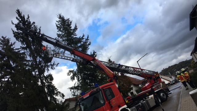 Wo umgefallene Bäume oder lose Äste zur Gefahr zu werden drohten, schaffte die Feuerwehr Abhilfe. Wo umgefallene Bäume oder lose Äste zur Gefahr zu werden drohten, schaffte die Feuerwehr Abhilfe.