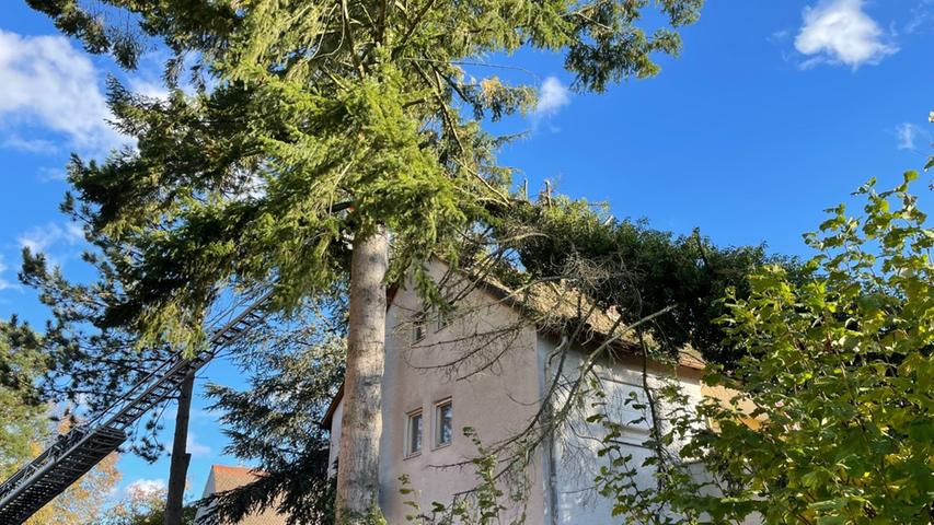 Ein Baum stürzte in Oberasbach wegen des Sturms "Ignatz" auf ein Einfamilienhaus.
