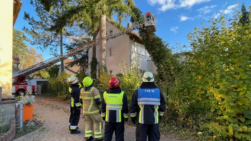 Die Freiwillige Feuerwehr Oberasbach ist ebenfalls vor Ort und versucht über die Drehleiter an den Baum zu kommen, um ihn mit einer Motorsäge zu bearbeiten. 