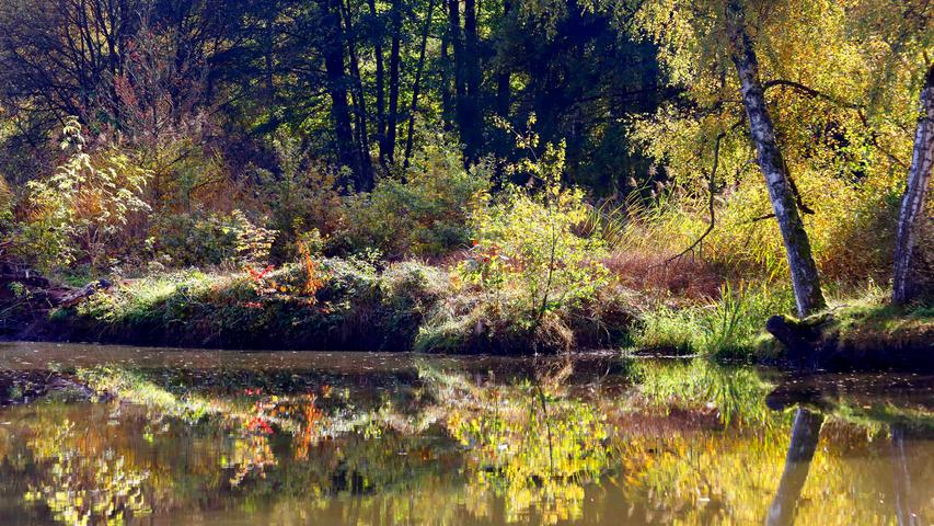 Die Blätter färben sich: Herbst im Kreis Forchheim und der Fränkischen Schweiz