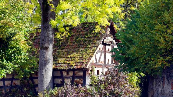 Die Blätter färben sich: Herbst im Kreis Forchheim und der Fränkischen Schweiz