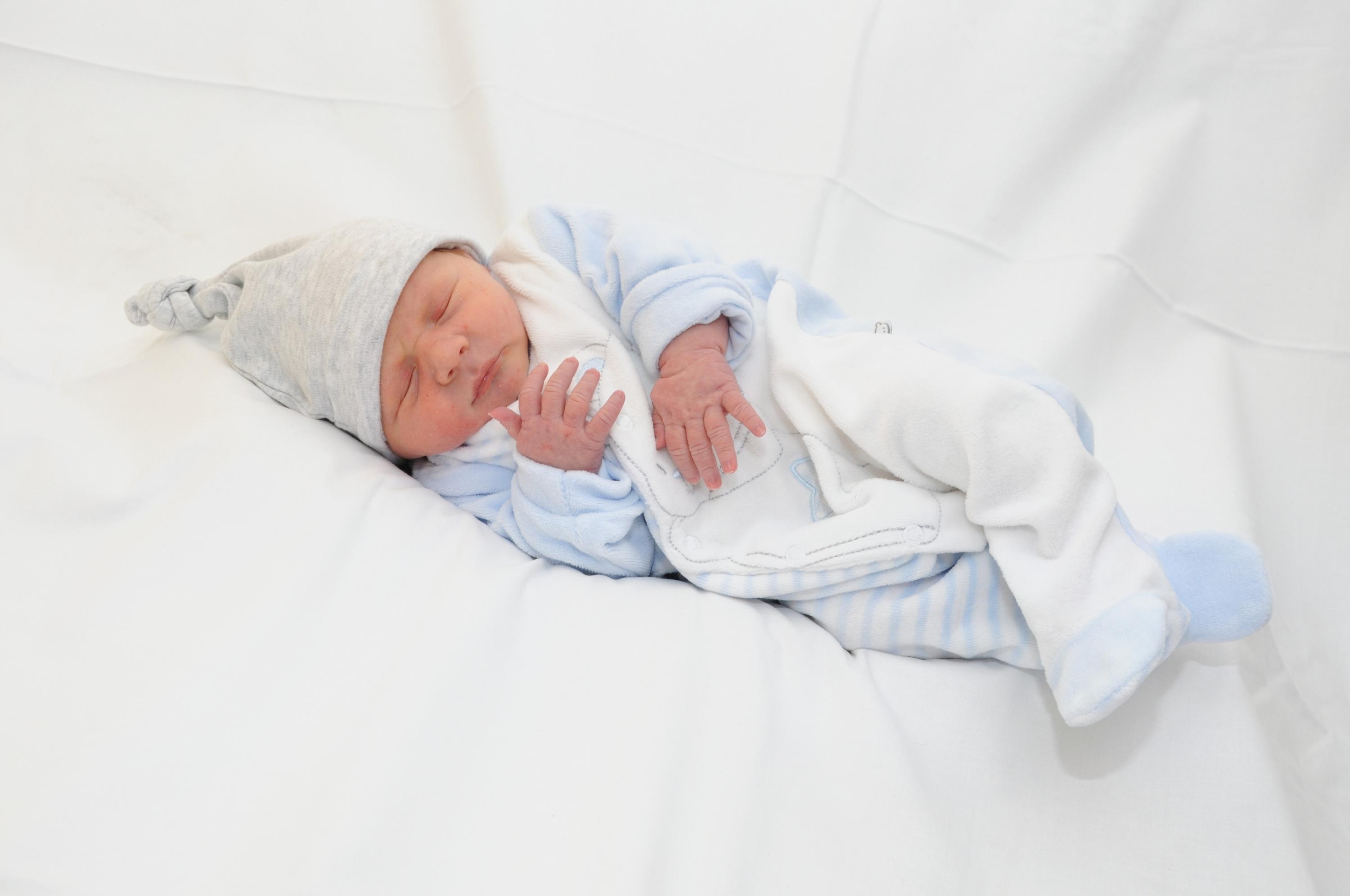 Stefan ist seit dem 21. Oktober am Start. Zum Auftakt brachte er bei einer Größe von 51 Zentimetern 3310 Gramm auf die Waage.