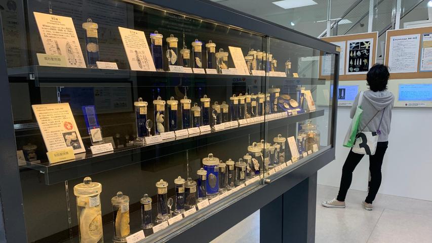 Im Meguro Parasitological Museum in Tokio sind rund 300 Arten von Parasiten in Gläsern ausgestellt. Das Museum dient der Forschung und will über die Gefahren durch Parasiten aufklären.