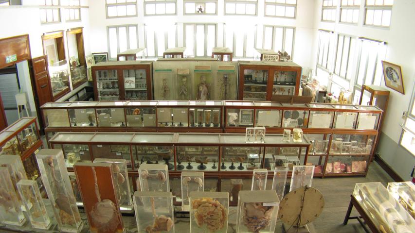 Das Siriraj Medical Museum in Bangkok, Thailand, zeigt in ihre Einzelteile zerlegte Menschen. Unter anderem können in Alkohol eingelegte Organe betrachtet werden. 
