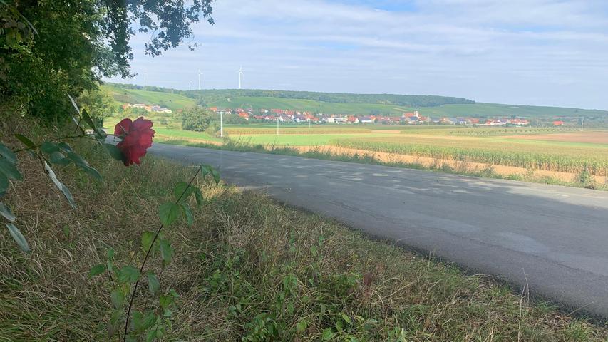 Mit drei Promille durch die Nacht: Theresa Stahl und ihr Freund liefen nach Hause, auf der kurvigen Landstraße wurde die junge Frau von dem VW Golf erwischt. Mit drei Promille durch die Nacht: Theresa Stahl und ihr Freund liefen nach Hause, auf der kurvigen Landstraße wurde die junge Frau von dem VW Golf erwischt.