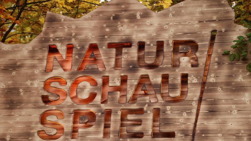 Der Erlös der Veranstaltung geht an die Schutzgemeinschaft Deutscher Wald, die sich dem Erhalt der deutschen Wälder verschrieben hat. 