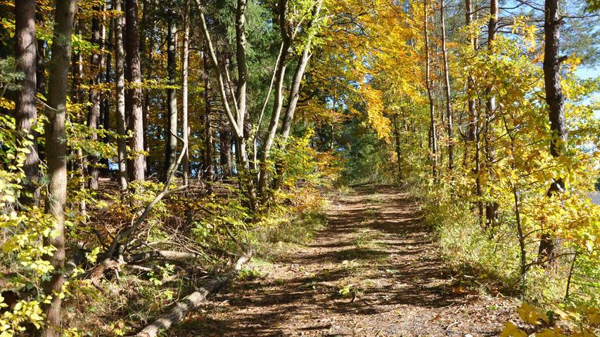 Der diesjährige Herbst ist ein Fest für alle Sinne, mit einer wahren Farborgie gibt die Natur noch einmal alles, bevor sich das graue Winterkleid über die Landschaft legt.