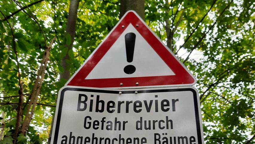 Vorsicht Biberrevier: Eindringlich wird der Passant vor den Gefahren gewarnt, die auf der Wöhrder Wiese lauern.
