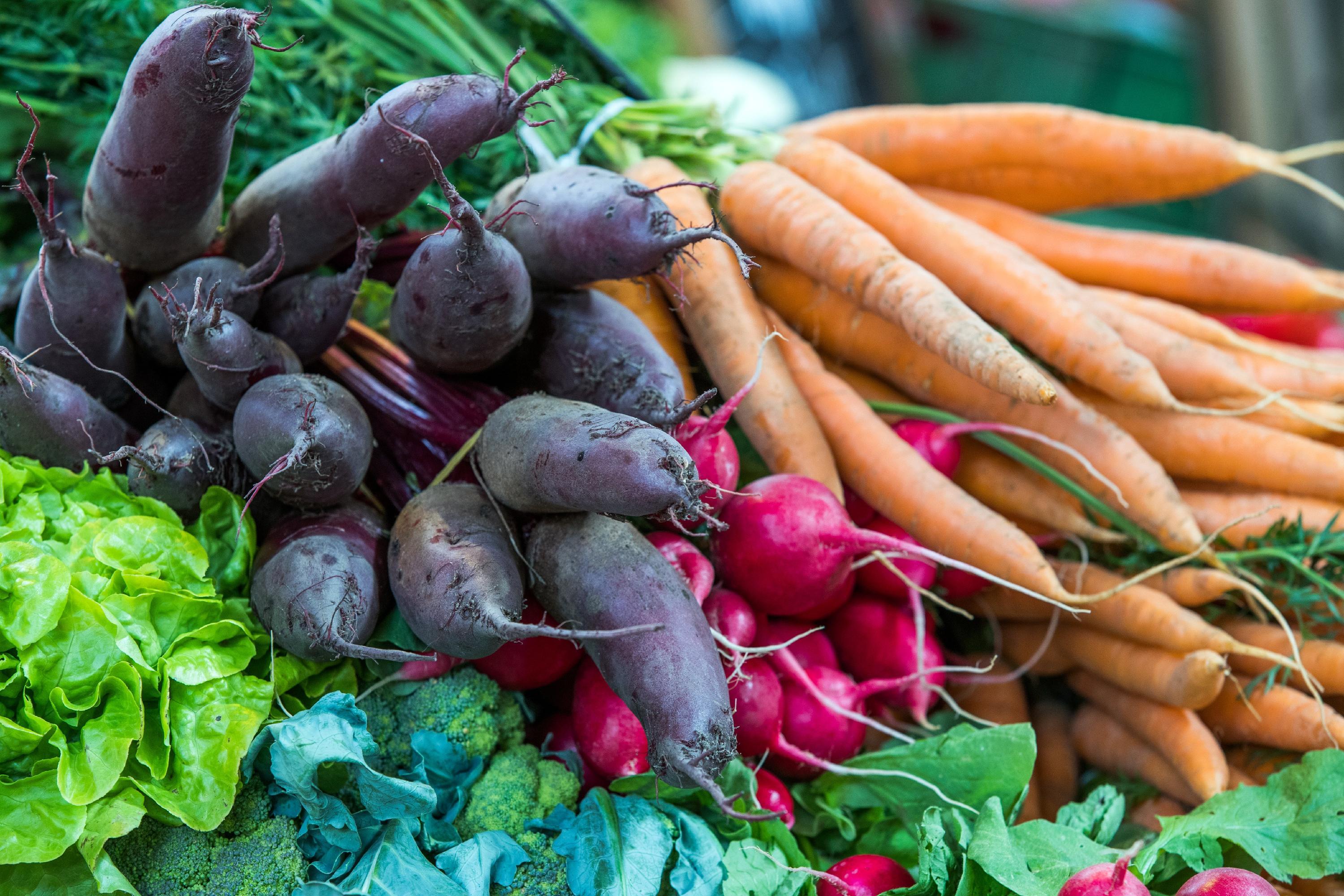 Postbauer-Heng: Flucht mit Tempo 180 endet im Gemüsegarten