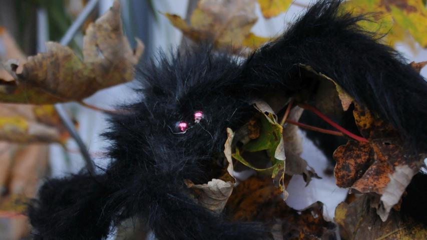 Hexen, Spinnen, Totenschädel: Das Halloween-Haus in Woffenbach