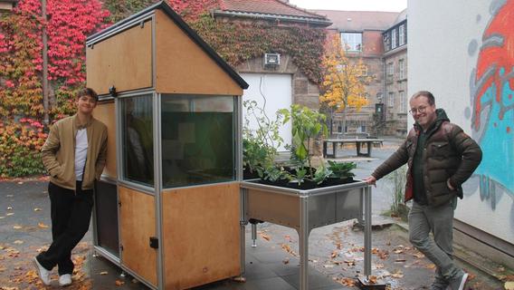 Foodcube: Fürther Gymnasium züchtet Karpfen auf dem Pausenhof