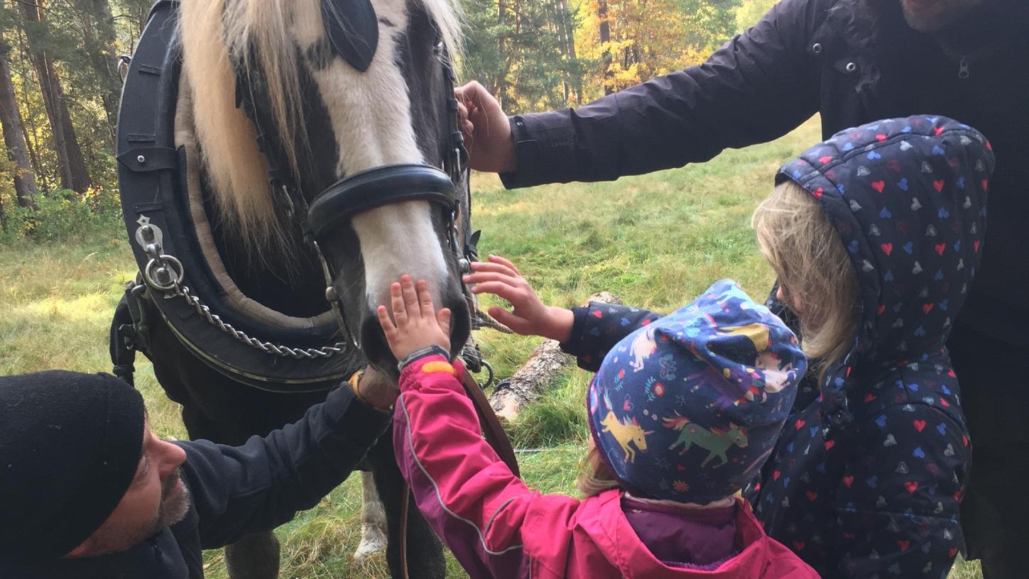 Die Mädchen und Buben in den Waldkindergärten Allersberg und Roth waren sehr angetan von der Schwarzwälder Fuchs-Stutin „Imelda“.