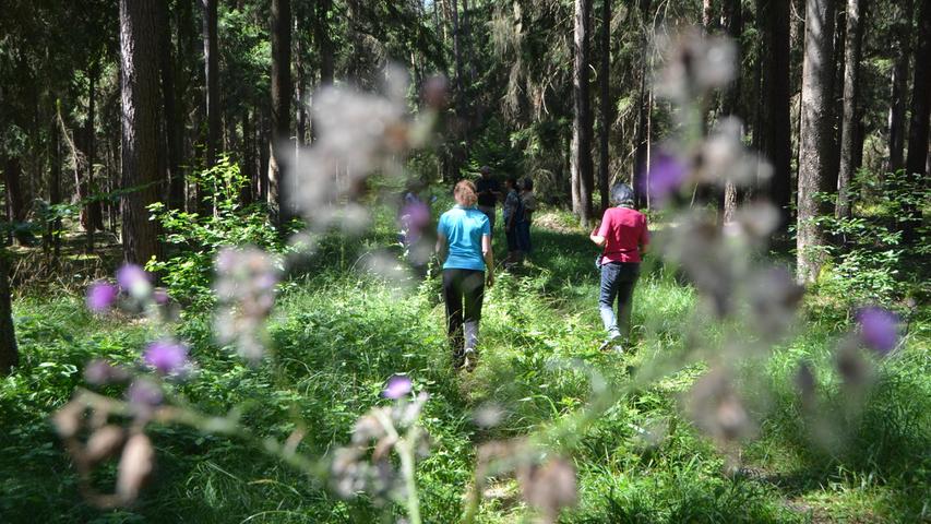 Kraftquelle Wald - bei einem Waldbade-Nachmittag mit Katja Lerch fühlen sich die Teilnehmer schnell weit weg vom Alltag. 