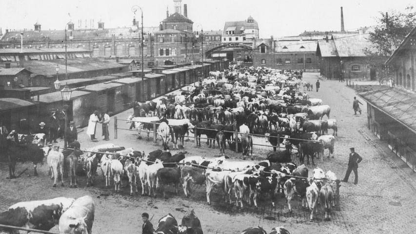 Am Schlachthof in unmittelbarer Nähe des Pferdemarkts wurde Früher Vieh ausgeladen. Um die Jahrhundertwende zum 20. Jahrhundert hatte die Anlage noch einen direkten Gleisanschluss.