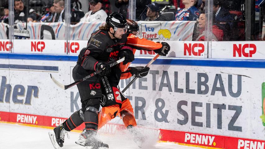 Intensiv: Ice Tiger Tyler Sheehy an der Bande. Intensiv: Ice Tiger Tyler Sheehy an der Bande.