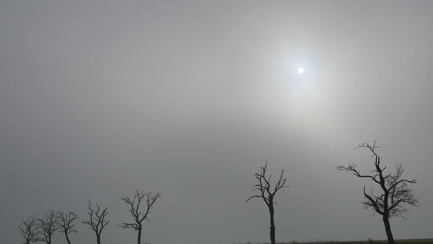 Die Bäume am Ortsrand von Ketteldorf mit Nebel und nur wenig Sonne zeigen die eher melancholische Seite dieser Jahreszeit. Aufgenommen mit Spiegelreflexkamera mit Standardzoom. Die Baumreihe ist etwas knapper belichtet. 