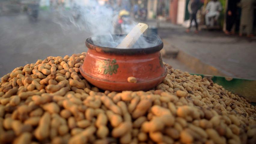 Pakistan, Rawalpindi: Ein dampfender Topf steht auf einem Berg von Erdnüssen, die am Straßenrand verkauft werden.  Erdnüsse sollen die Abwehrkräfte während des Winters stärken . Unser Ergebnis: Vielseitigkeit 5 von 5 Punkten Gesundheit 4 von 5 Punkten Ökobilanz 3 von 5 Punkten