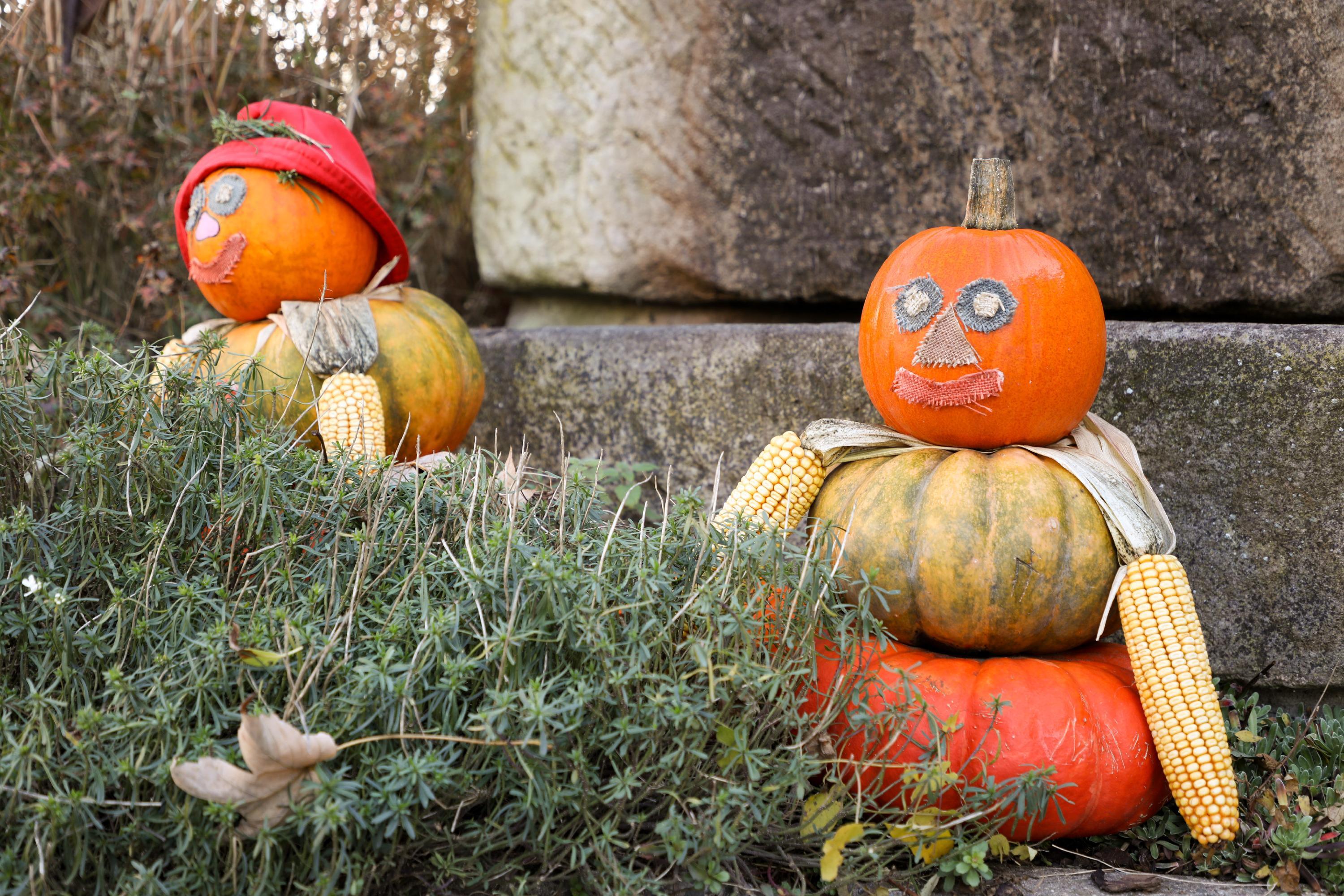Herbstimpression Gößweinstein
