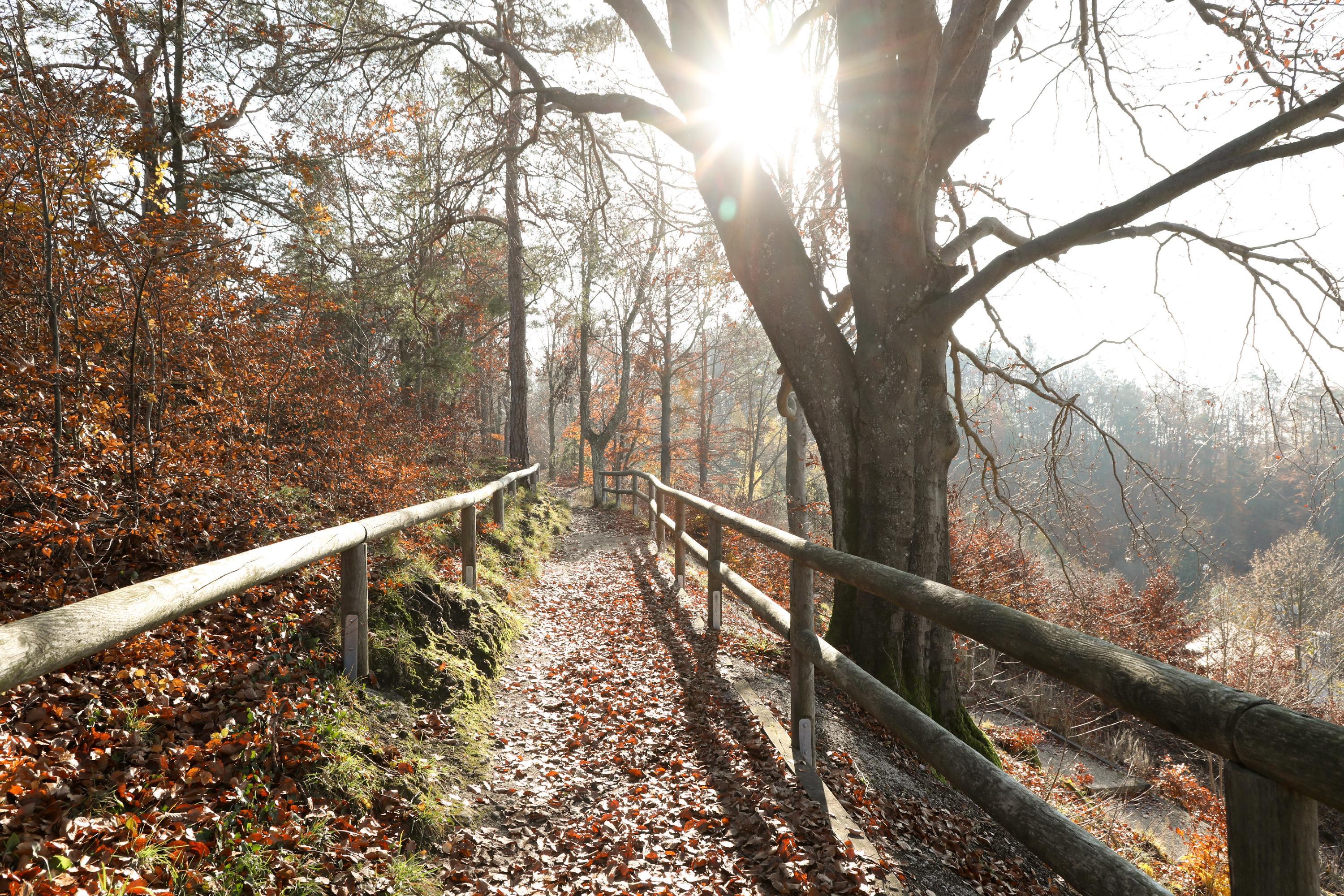 Am Kreuzberg Gößweinstein