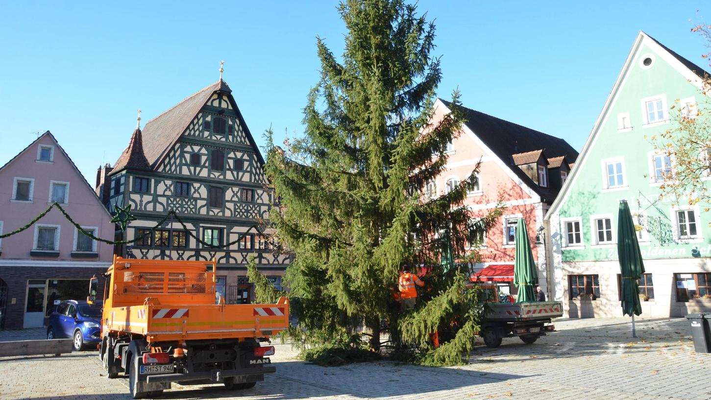 Rund 14 Meter hoch und anderthalb Tonnen schwer ist der Christbaum, der seit Dienstag (24. November) den Rother Marktplatz schmückt.