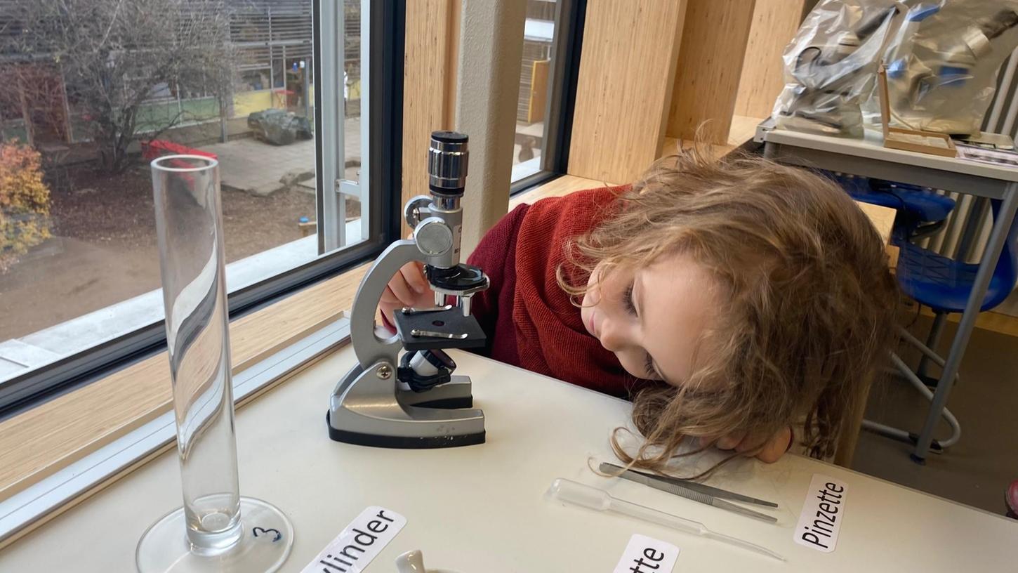 Beim Tag der offenen Tür in der Montessorischule in Herzogenaurach wird auch durchs Mikroskop die Welt erkundet.
Beim Tag der offenen Tür in der Montessorischule in Herzogenaurach wird auch durchs Mikroskop die Welt erkundet.