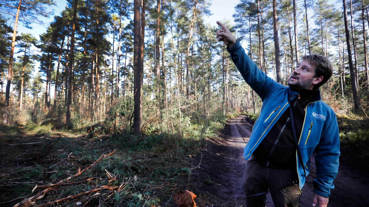 Forstbetriebsleiter Johannes Wurm erklärt, warum derzeit im Wald bei Fischbach Kiefern gefällt werden.
Forstbetriebsleiter Johannes Wurm erklärt, warum derzeit im Wald bei Fischbach Kiefern gefällt werden.