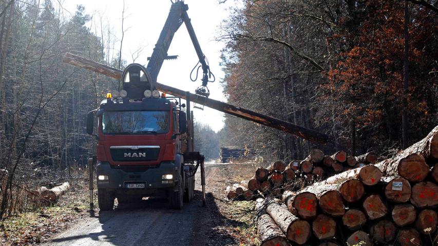 Die Stämme aus dem Fischbacher Wald werden regional vermarktet.
Die Stämme aus dem Fischbacher Wald werden regional vermarktet.