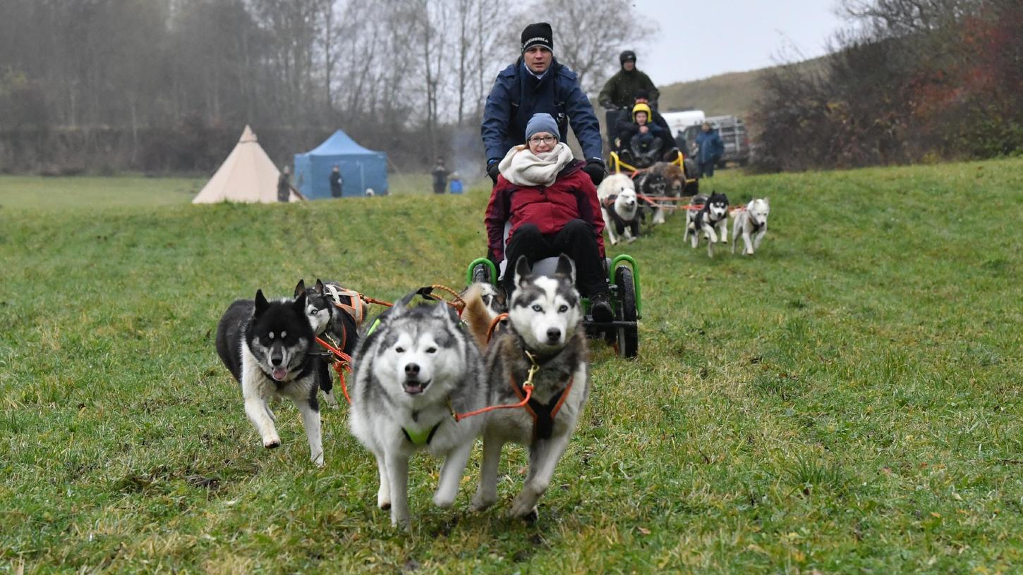 Und los geht‘s: Zu Beginn der Ausfahrt legen sich die Hunde mächtig ins Zeug und ziehen die Wagen in hohem Tempo über die Wiese bis zur nächsten Weggabelung.
Und los geht‘s: Zu Beginn der Ausfahrt legen sich die Hunde mächtig ins Zeug und ziehen die Wagen in hohem Tempo über die Wiese bis zur nächsten Weggabelung.