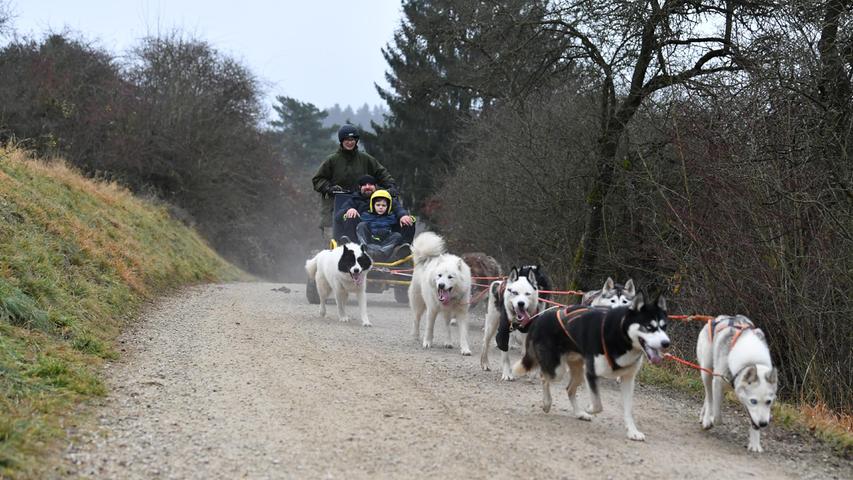 Impressionen vom Schlittenhunde-Camp bei Neumarkt