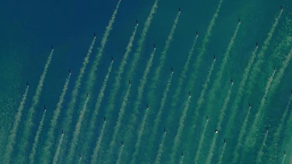 Lichtblick: Vor der Mündung der Themse drehen sich 100 Windräder, die Strömung wirbelt Sedimente auf.