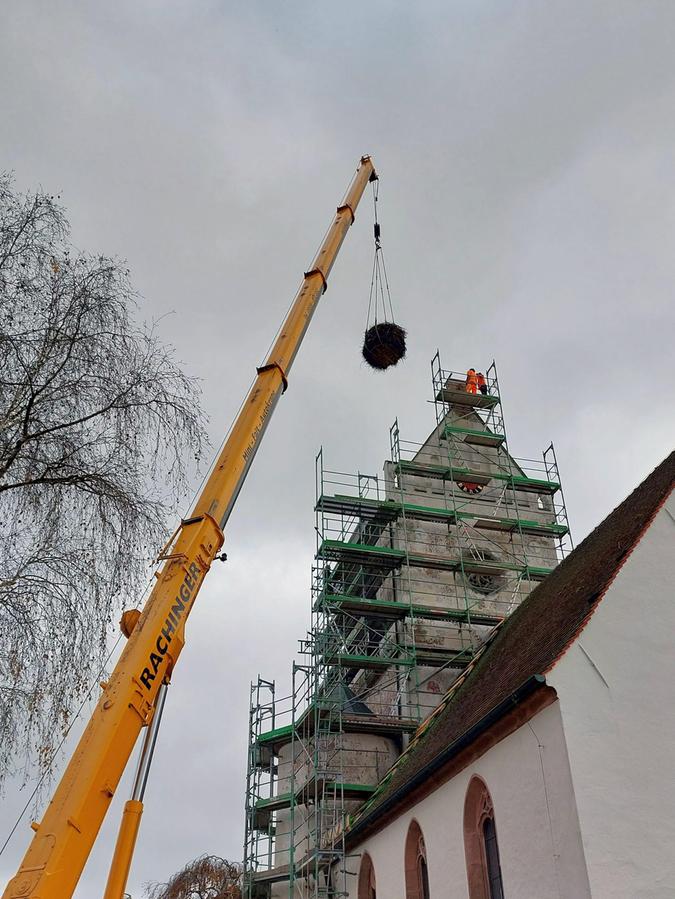 Mit Hilfe eines Krans ist das alte Nest vom Dach der Kirche geholt worden.