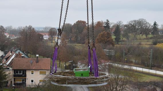 Das neue Nest von oben.
Das neue Nest von oben.
