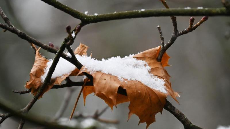 Auch erste Schneefälle gab es diesen Herbst schon - zumindest im Bayerischen Wald und in den Alpen.
