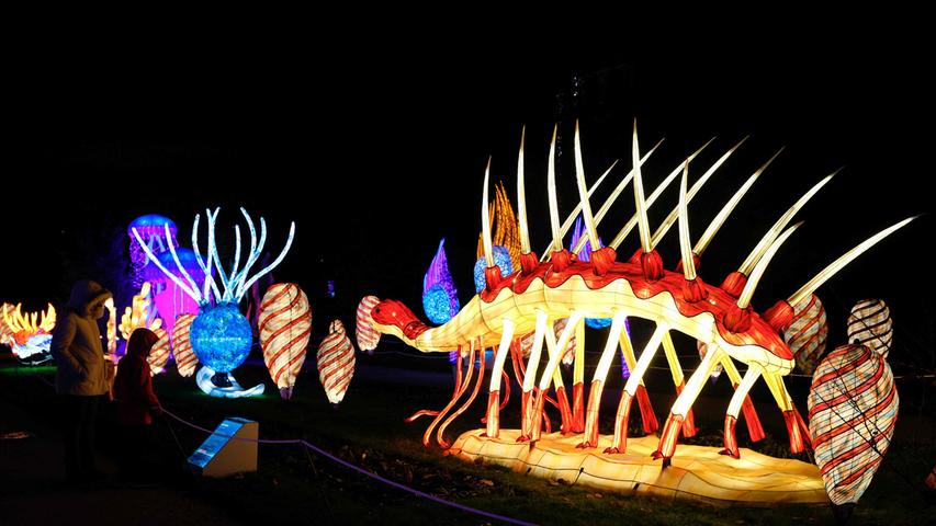 Riesige beleuchtete Skulpturen erstrahlen auf einer Präsentation des Jardin des Plantes (Garten der Pflanzen) des Lichtfestivals in Paris am 26. November.