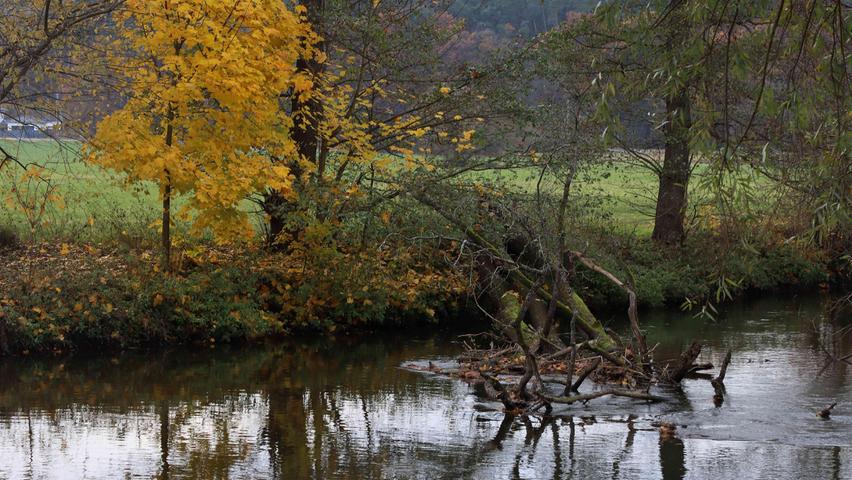 Gerade im Herbst hat die Natur einen besonderen Zauber, wie hier an der Rednitz nahe dem Pumpenhaus bei Reichelsdorf.
Gerade im Herbst hat die Natur einen besonderen Zauber, wie hier an der Rednitz nahe dem Pumpenhaus bei Reichelsdorf.