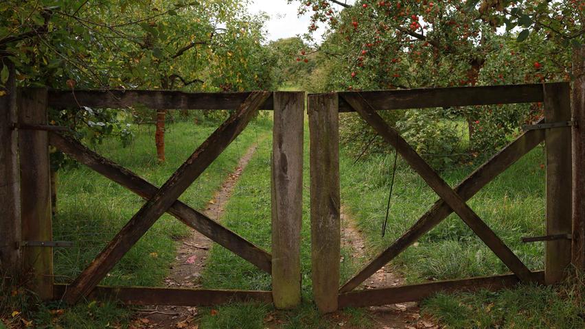 Malerisch ist der Eingang zu einer Obstplantage, an der die Wanderung vorbeiführt. Das Betreten ist leider nicht erlaubt.
Malerisch ist der Eingang zu einer Obstplantage, an der die Wanderung vorbeiführt. Das Betreten ist leider nicht erlaubt.