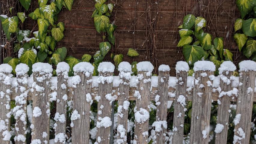 Die Schneetupfen blieben sogar auf diesem Zaun in Altdorf liegen.