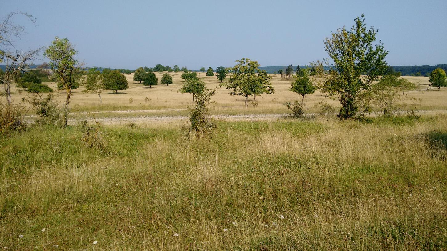  Die Regierung von Mittelfranken plant die Ausweisung eines Naturschutzgebietes im Bereich des Zentralen Hahnenkamms im Landkreis Weißenburg-Gunzenhausen zum Schutz der dortigen Natur und Landschaft.