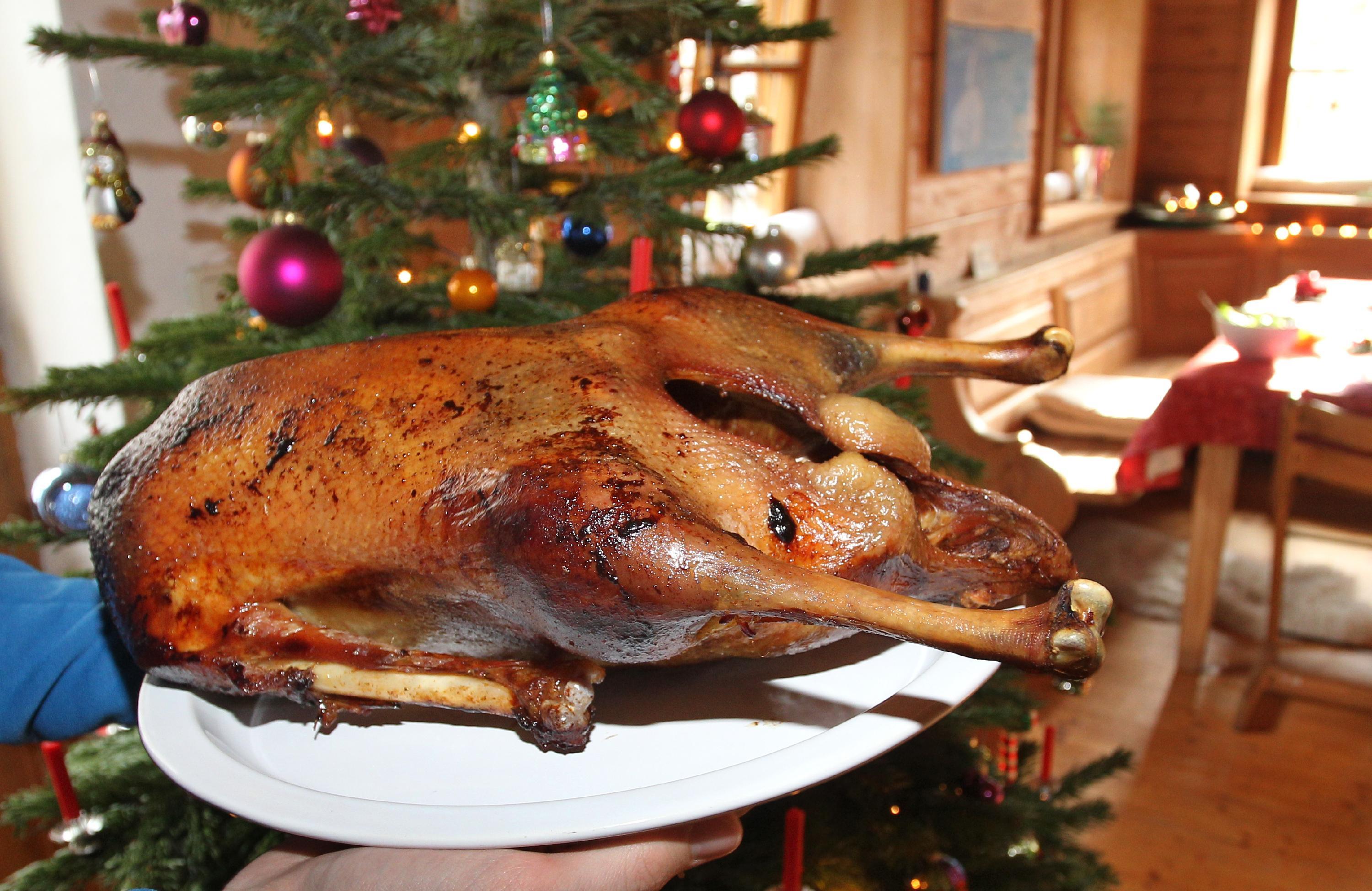 Auch wenn Hund oder Katze noch so sehr bettelt, sollte man besser nichts von der Weihnachtsgans abgeben: Die Knochen können nämlich splittern und dann innere Verletzungen im Magen-Darm-Trakt verursachen.