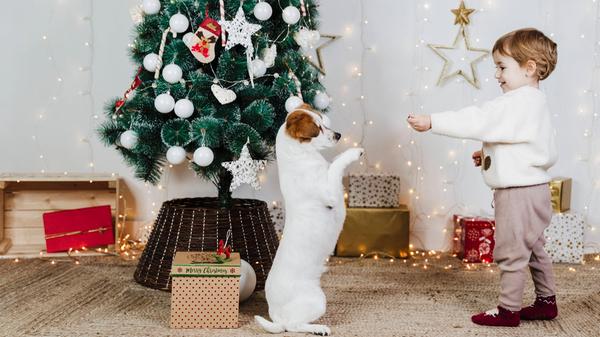 Hunde und Katzen freuen sich, wenn man sich über die Feiertage mal richtig Zeit für sie nimmt. Wird es allerdings zu viel Trubel, wenn beispielsweise die Verwandtschaft zu Besuch kommt, sollte man einen Rückzugsraum für sie schaffen.