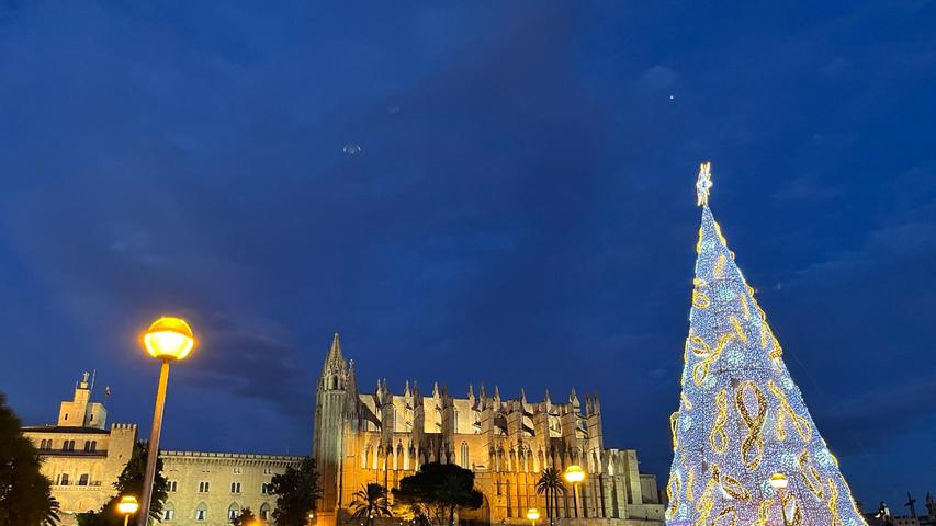 Hauptattraktion für viele Mallorquiner ist der große Weihnachtsbaum vor der Kathedrale von Palma.