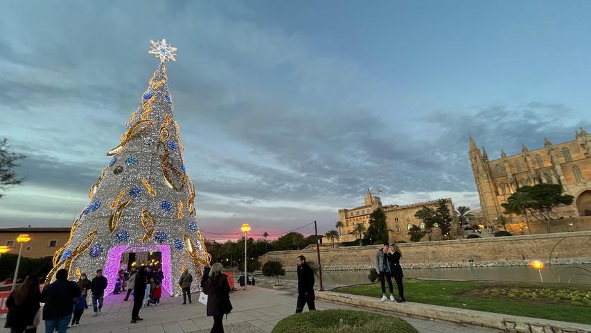 An den Abenden pilgern viele zum Weihnachtsbaum vor der Kathedrale, er ist ein beliebtes Selfie-Motiv.