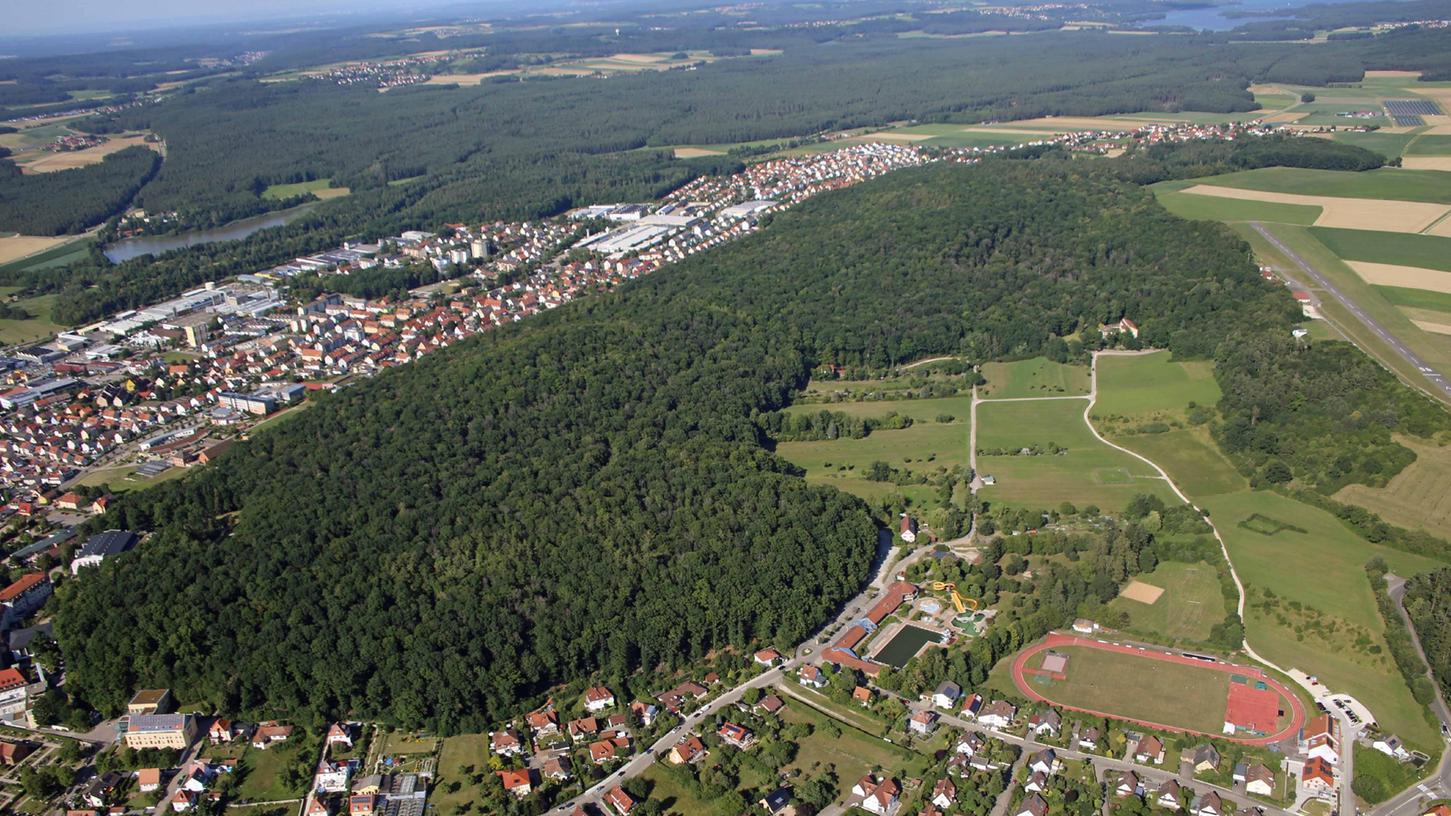 Die Niederschläge in den Sommermonaten waren für die hiesigen Wälder nicht viel mehr als eine Verschnaufpause. Auch der Burgstallwald hat sich nach den verheerenden Schwammspinnerjahren wieder erholt und blieb von dem Schadinsekt verschont.
Die Niederschläge in den Sommermonaten waren für die hiesigen Wälder nicht viel mehr als eine Verschnaufpause. Auch der Burgstallwald hat sich nach den verheerenden Schwammspinnerjahren wieder erholt und blieb von dem Schadinsekt verschont.